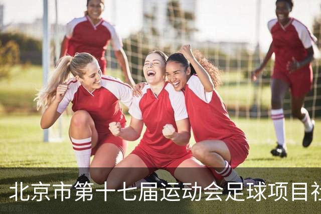 北京市第十七届运动会足球项目社会组暨第六届社区杯落幕
